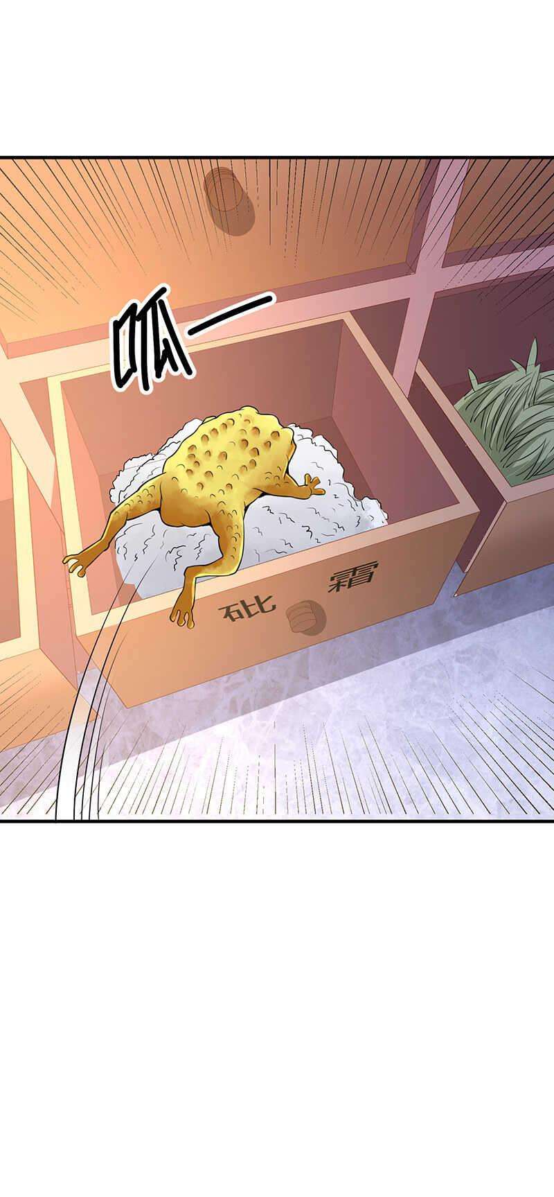 29.jpg