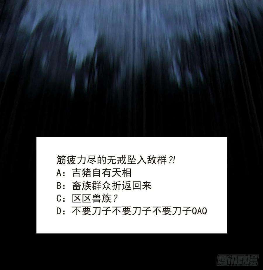 51.jpg