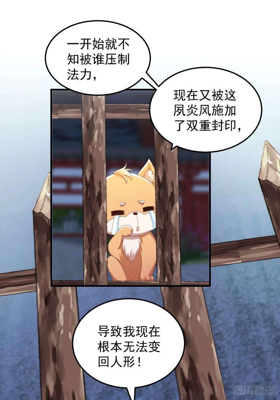 41.jpg