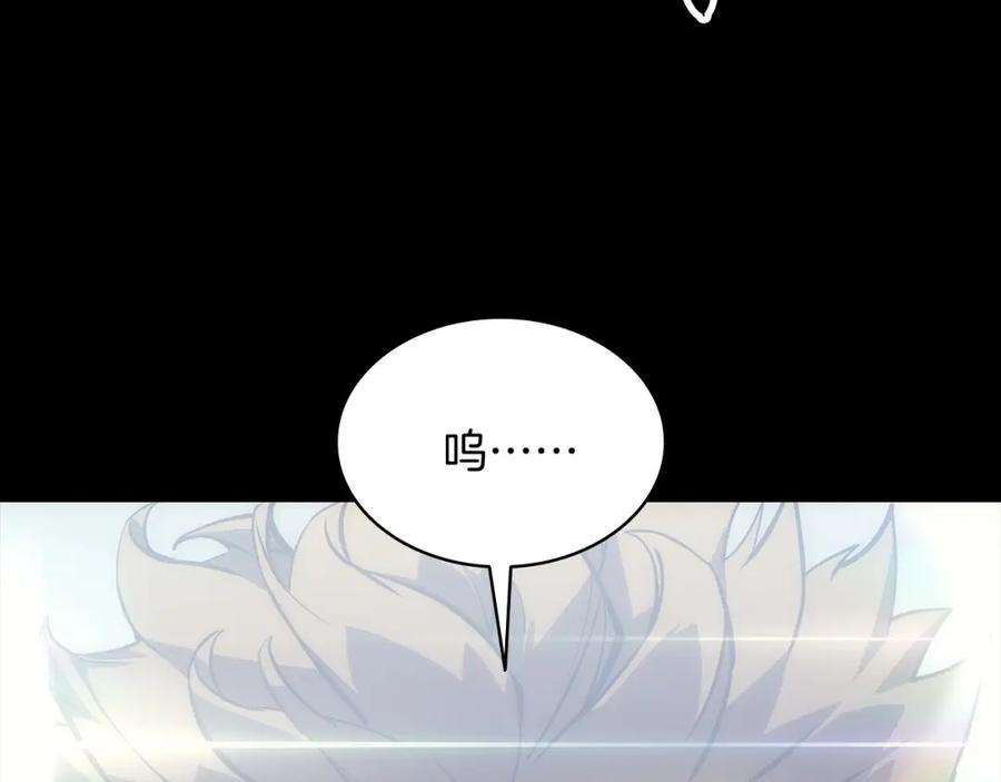 133.jpg