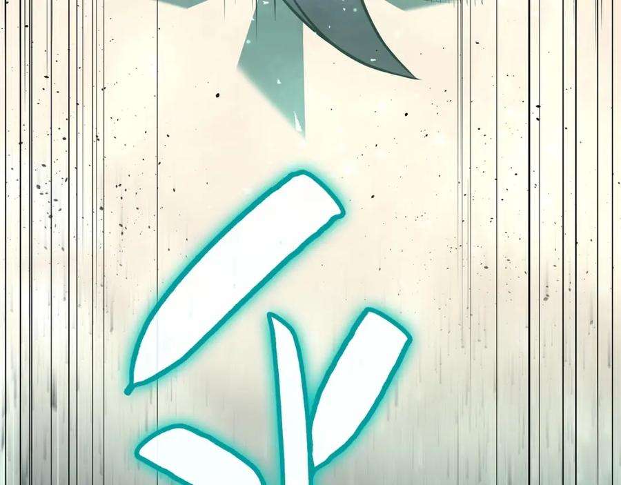 245.jpg