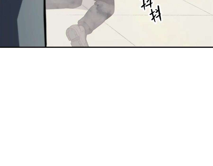 213.jpg