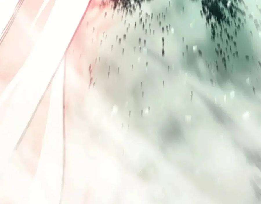 237.jpg