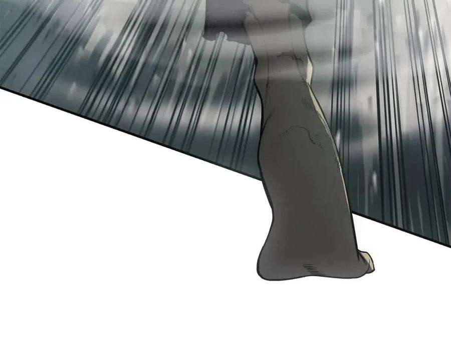 242.jpg