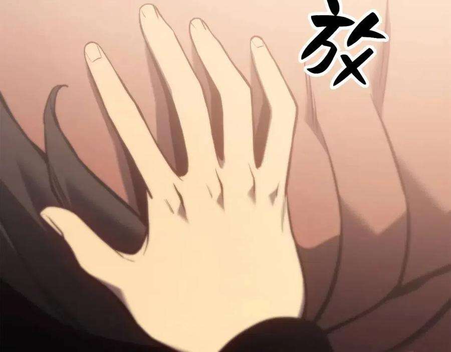 269.jpg