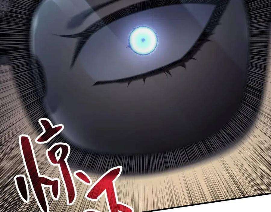242.jpg