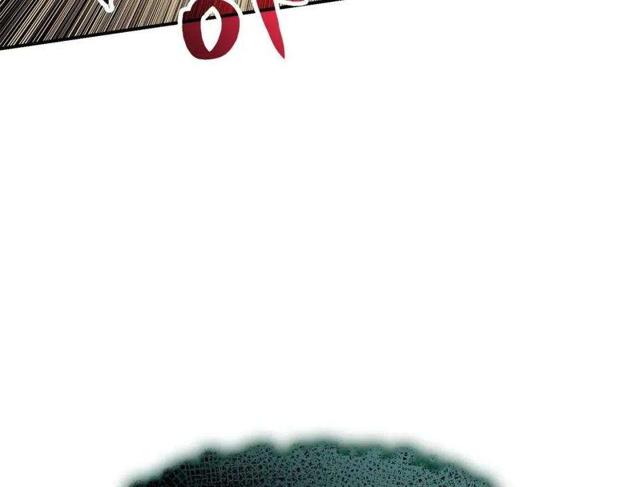 243.jpg