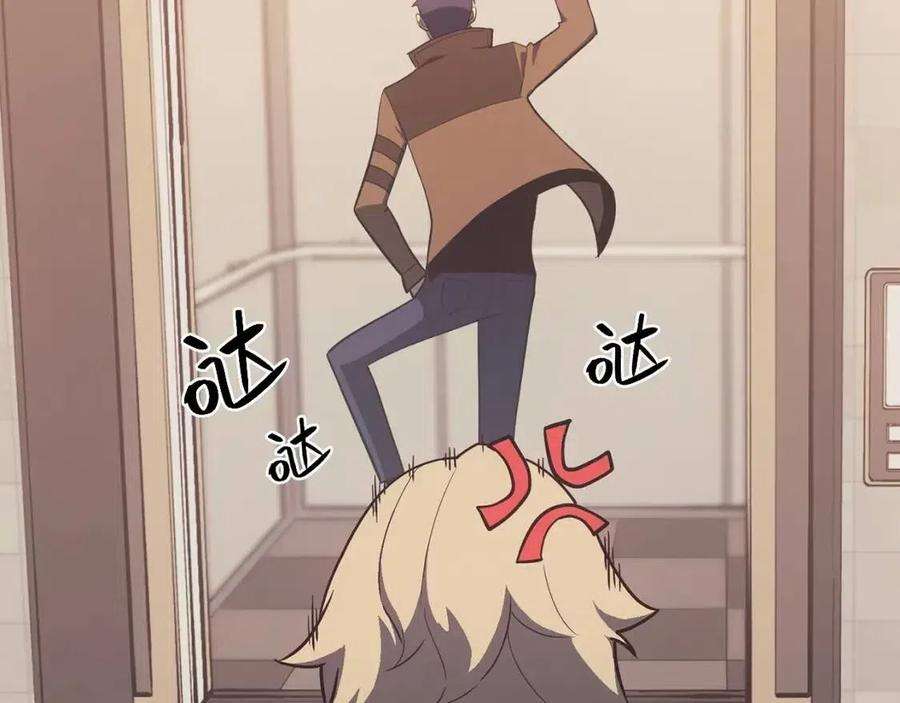 243.jpg
