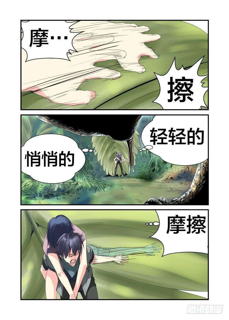 4.jpg