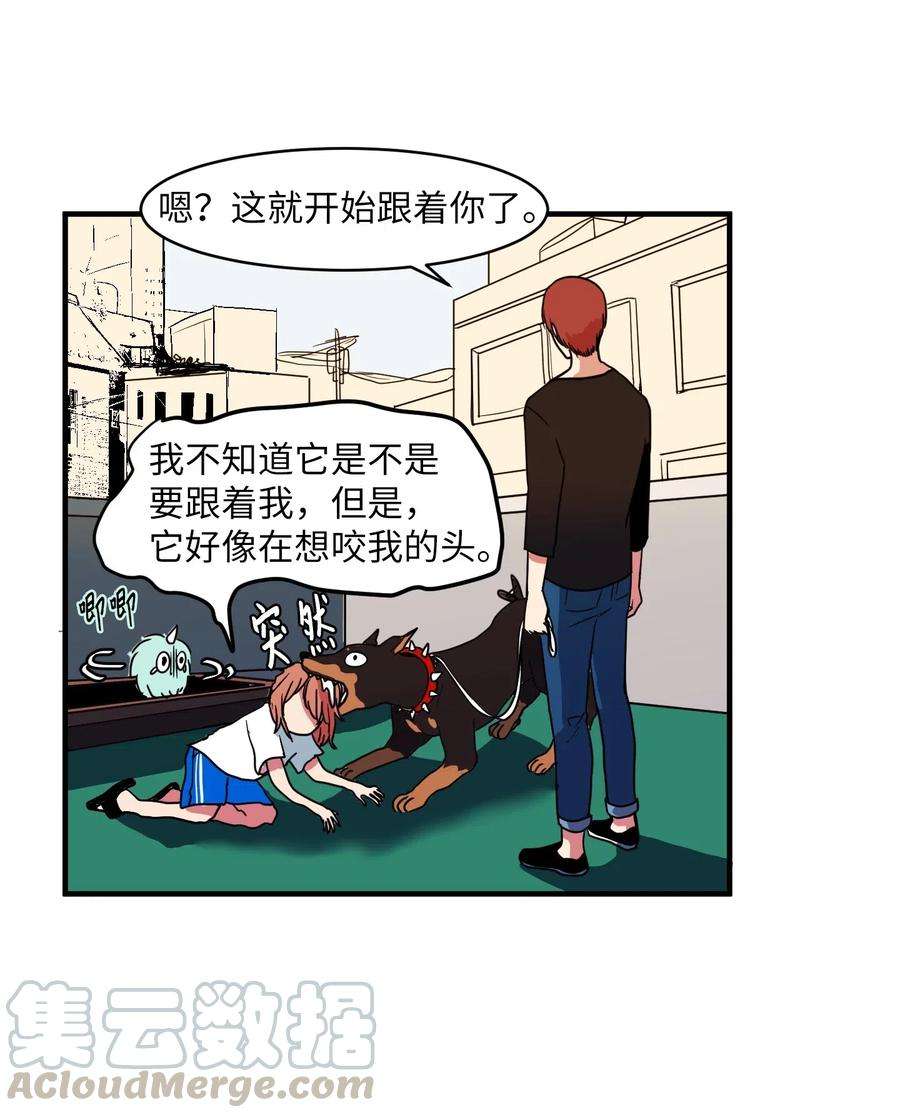 21.jpg