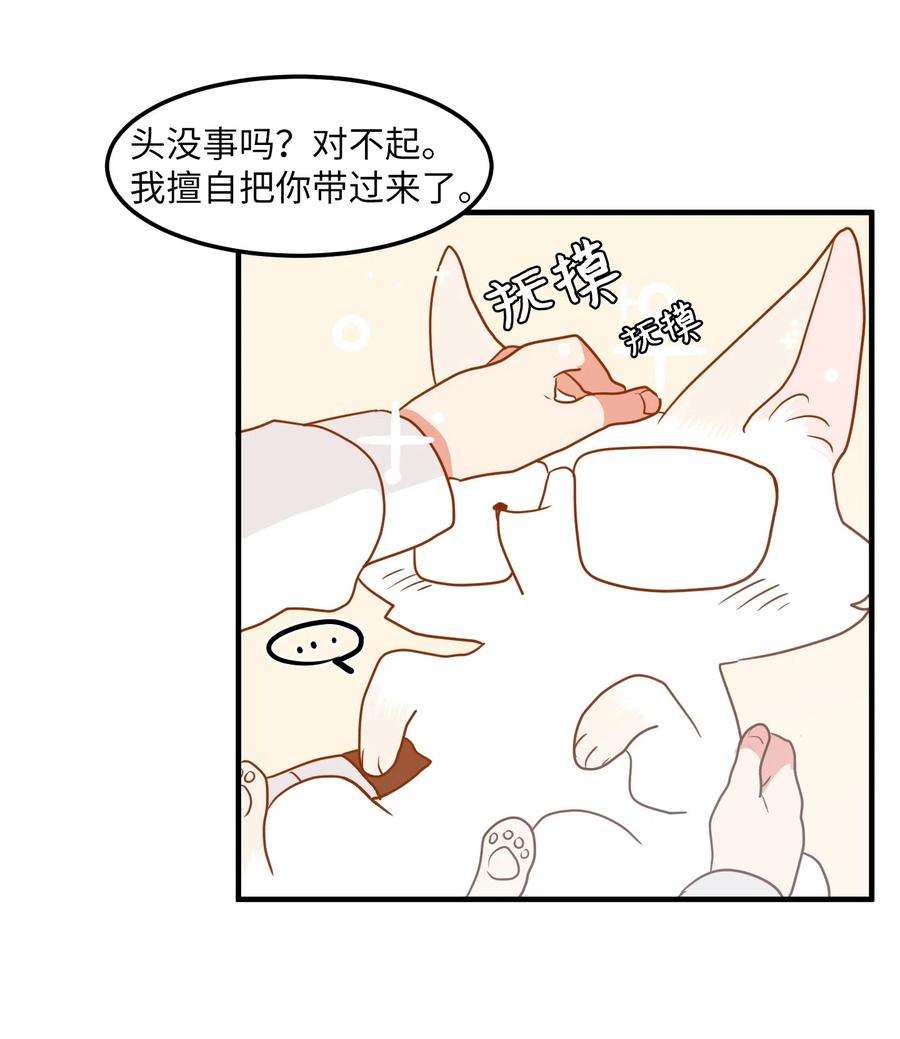 38.jpg