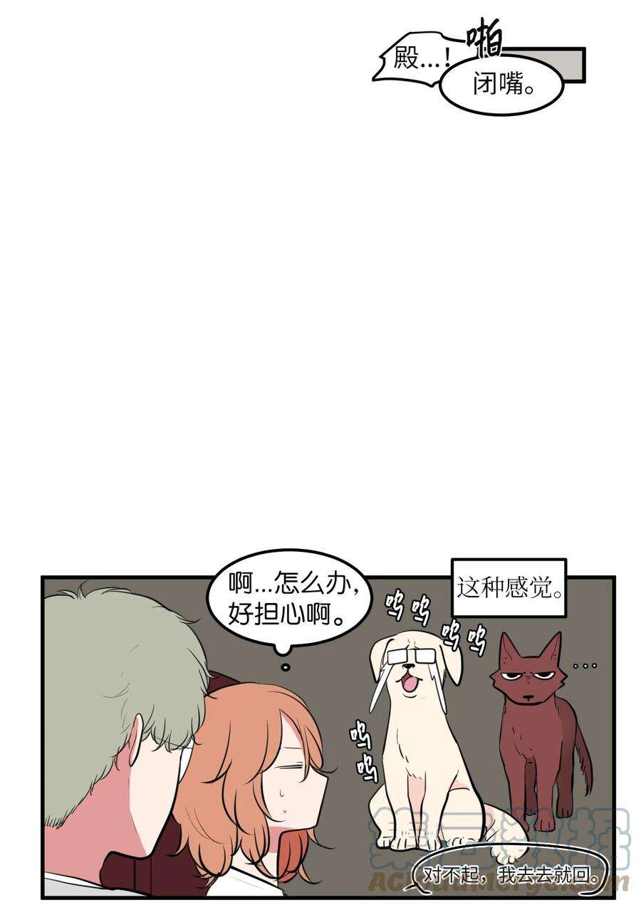 43.jpg