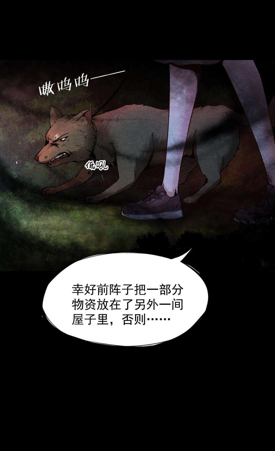 17.jpg