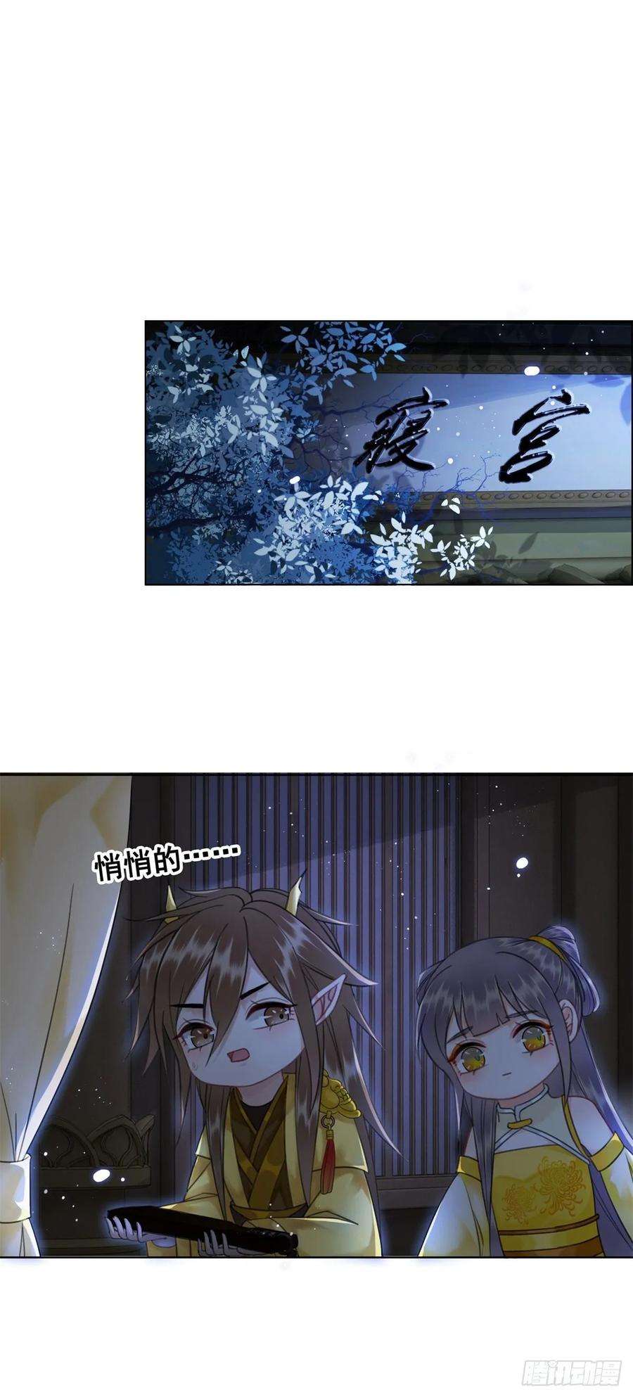 41.jpg