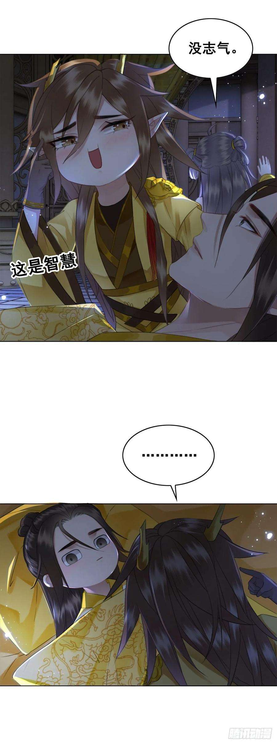 15.jpg