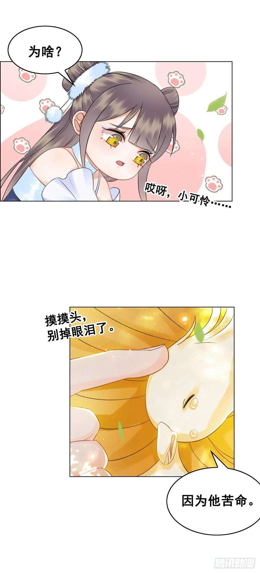 21.jpg