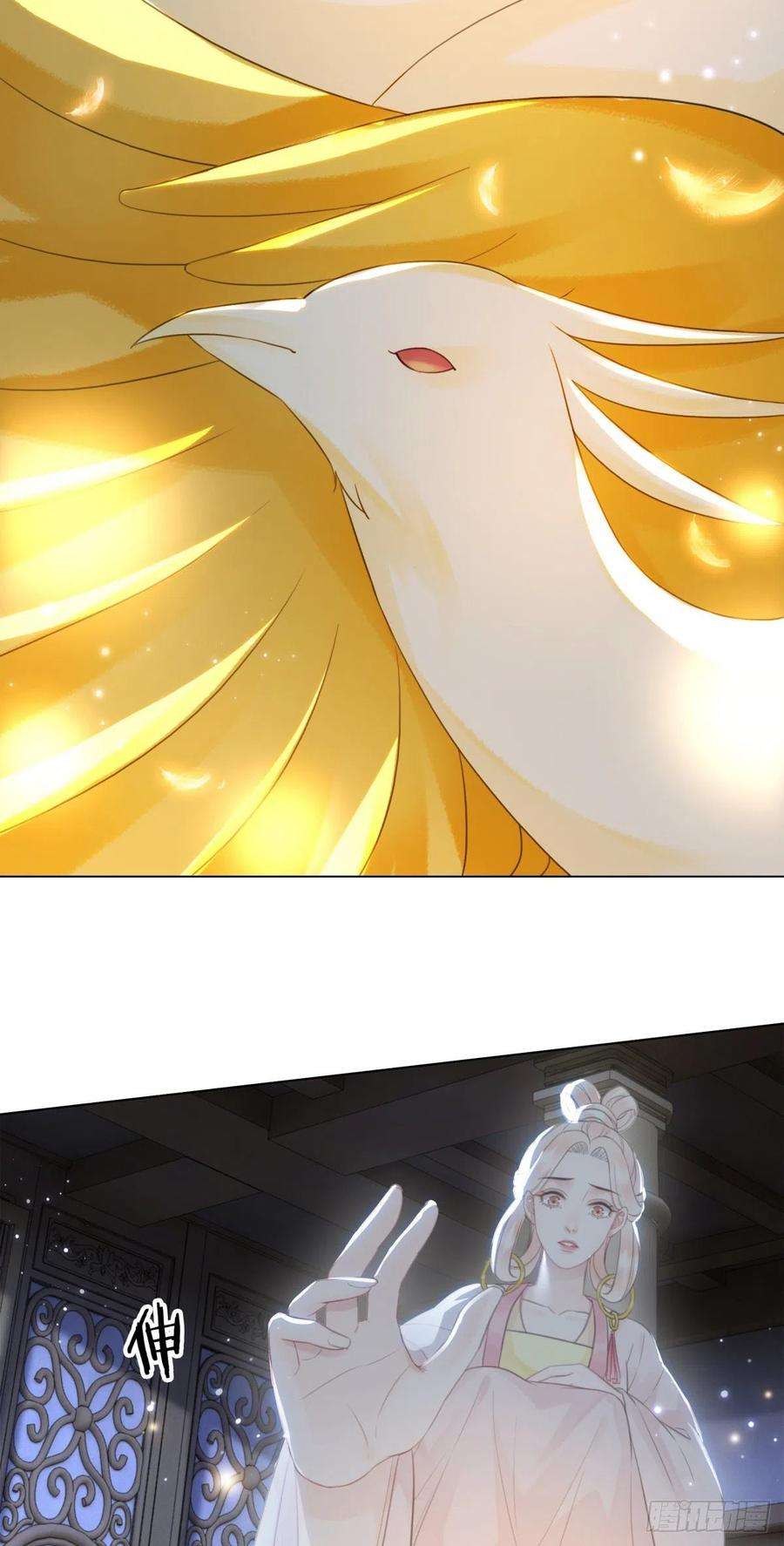 53.jpg