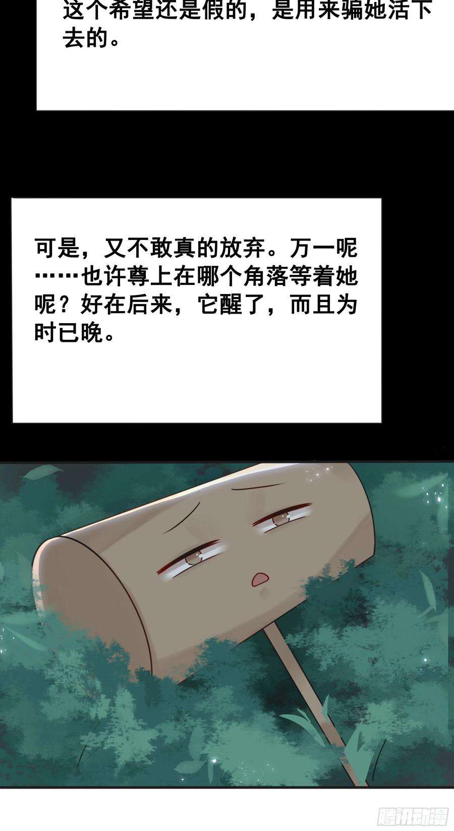48.jpg