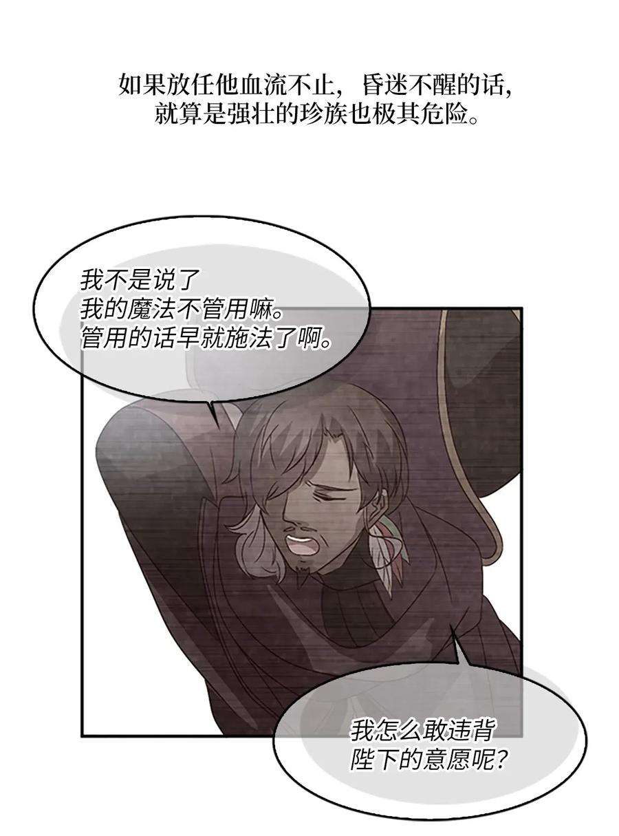 51.jpg