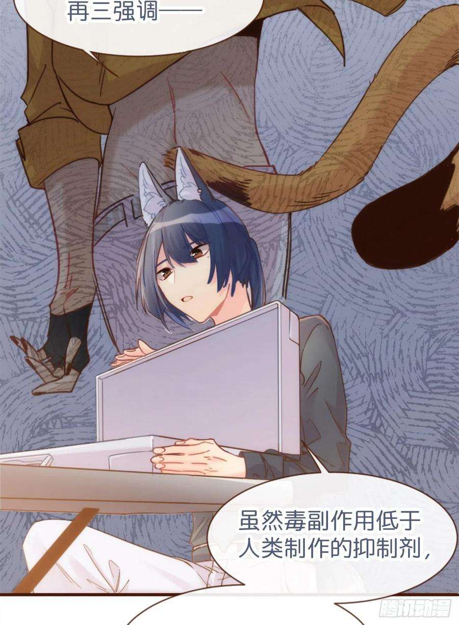 26.jpg