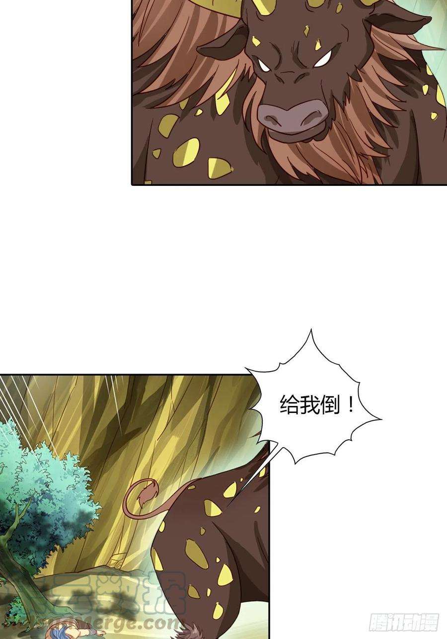 19.jpg
