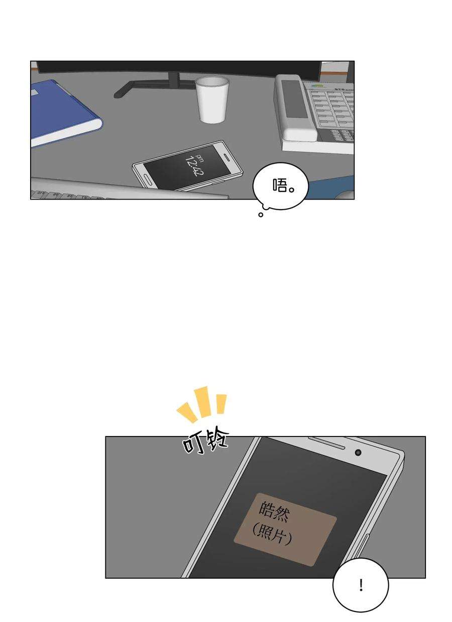 41.jpg