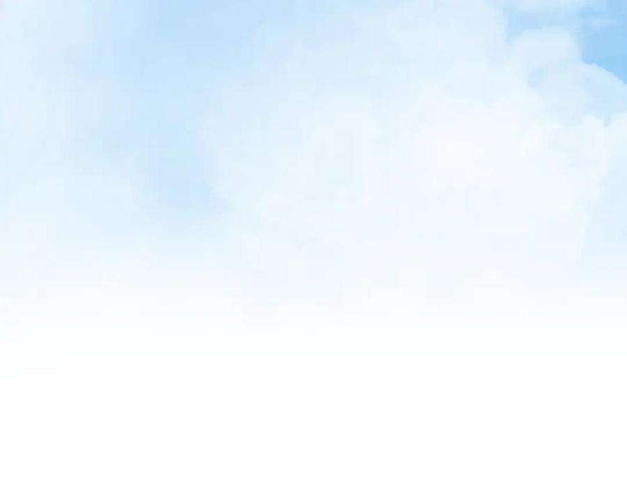 81.jpg
