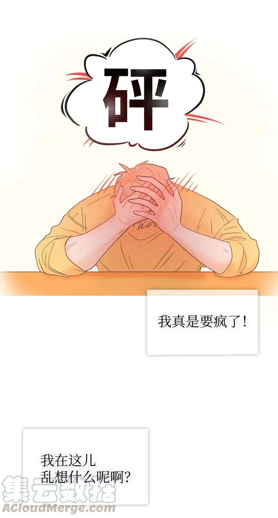 33.jpg