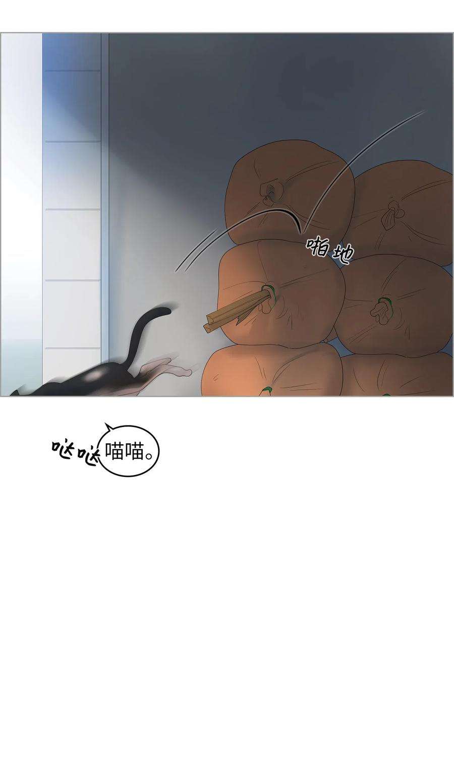 64.jpg