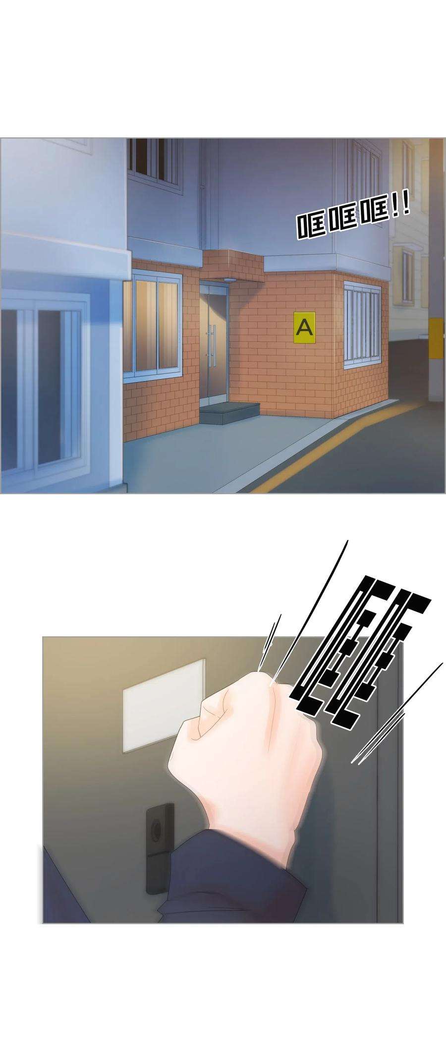 46.jpg