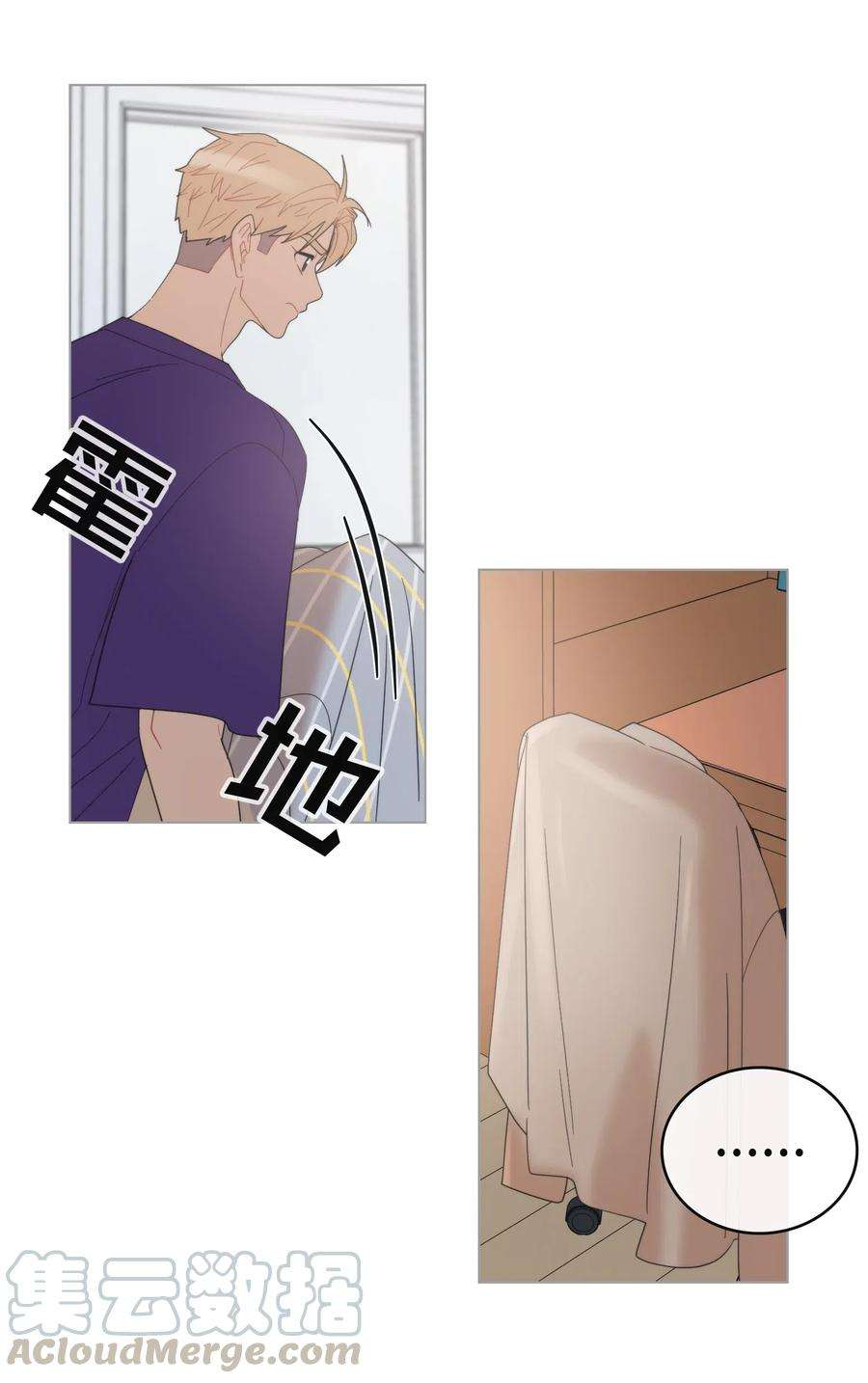 31.jpg