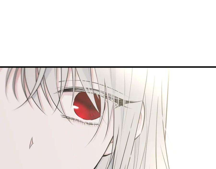 141.jpg