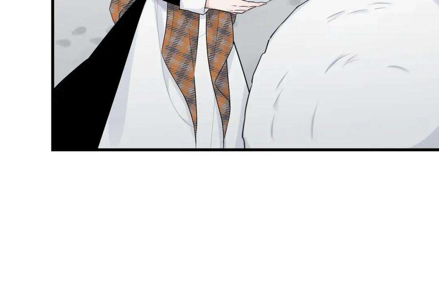 117.jpg