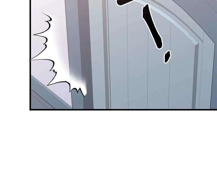 213.jpg