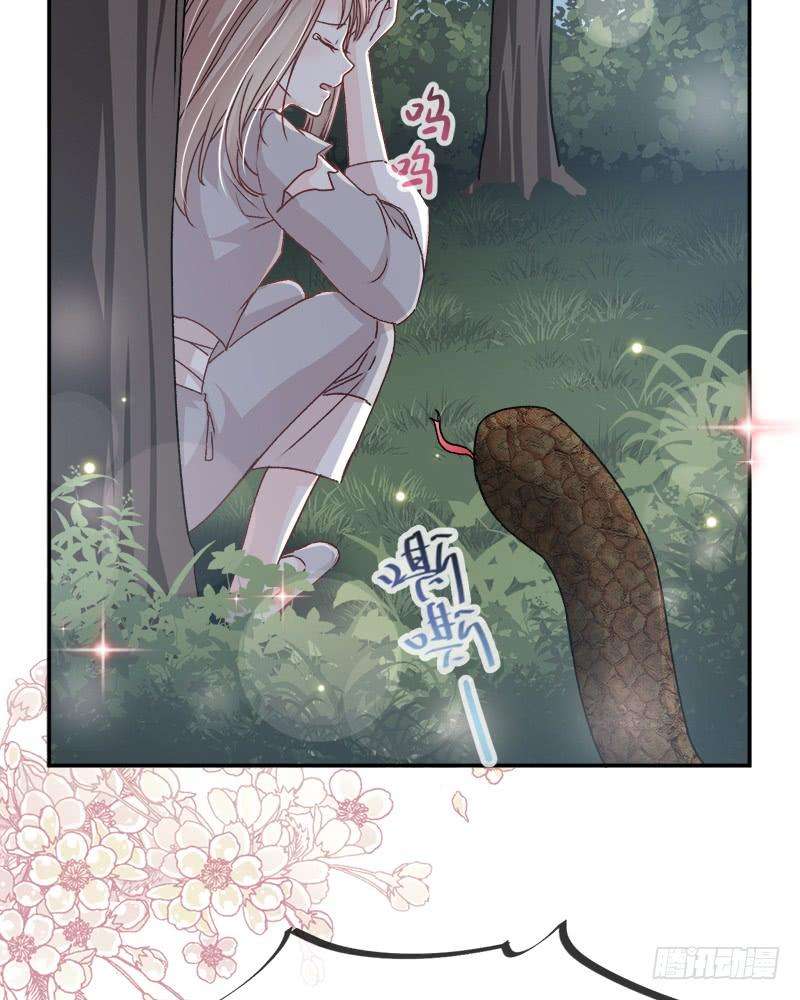 54.jpg
