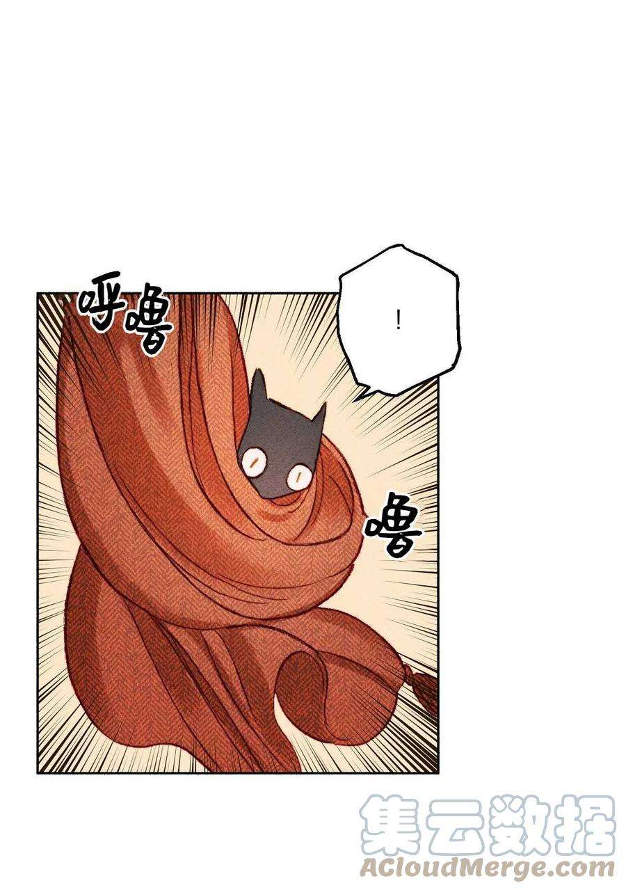 58.jpg