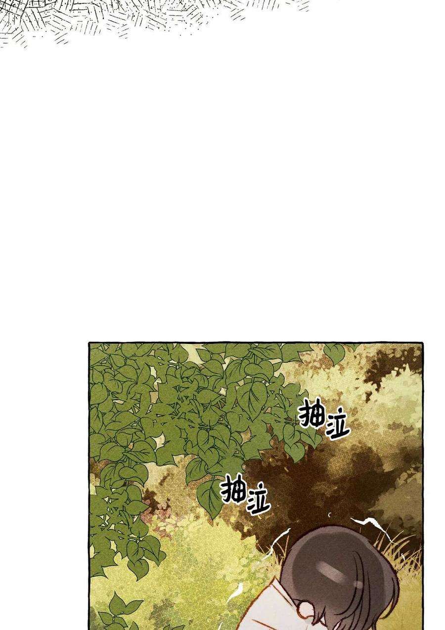 74.jpg