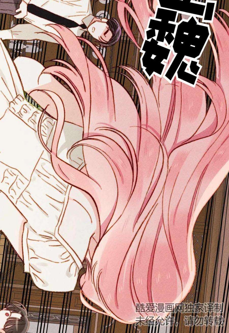 77.jpg