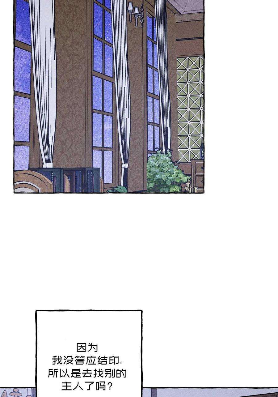 54.jpg