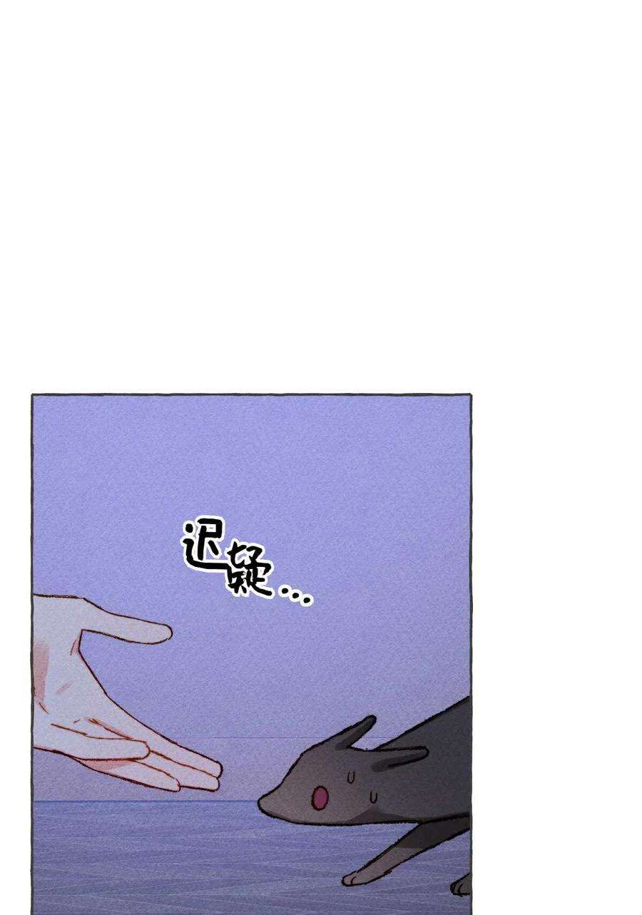 48.jpg