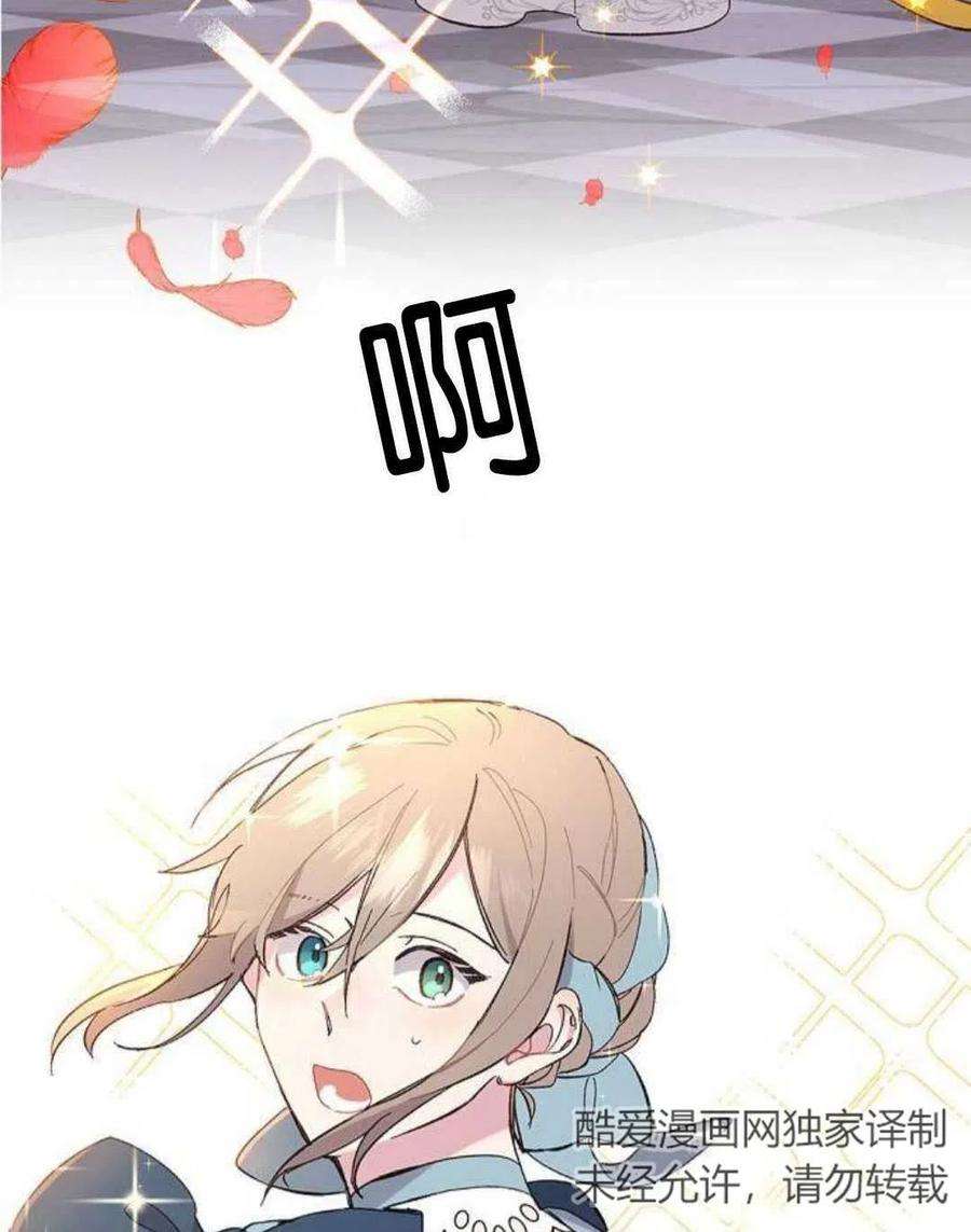 95.jpg