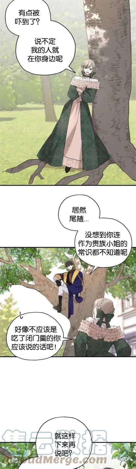 19.jpg