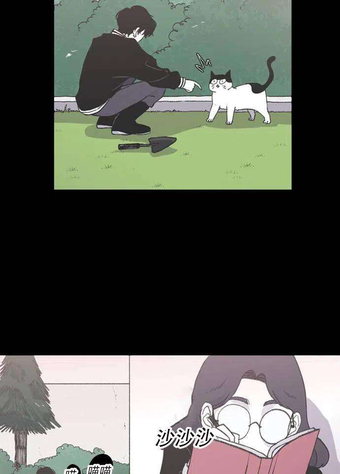41.jpg