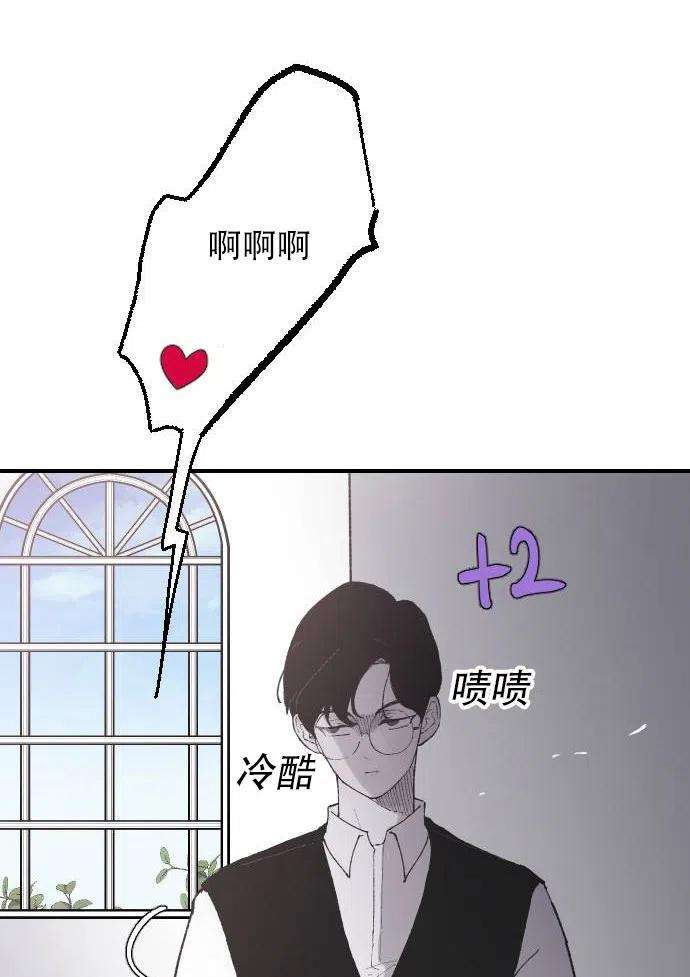 48.jpg