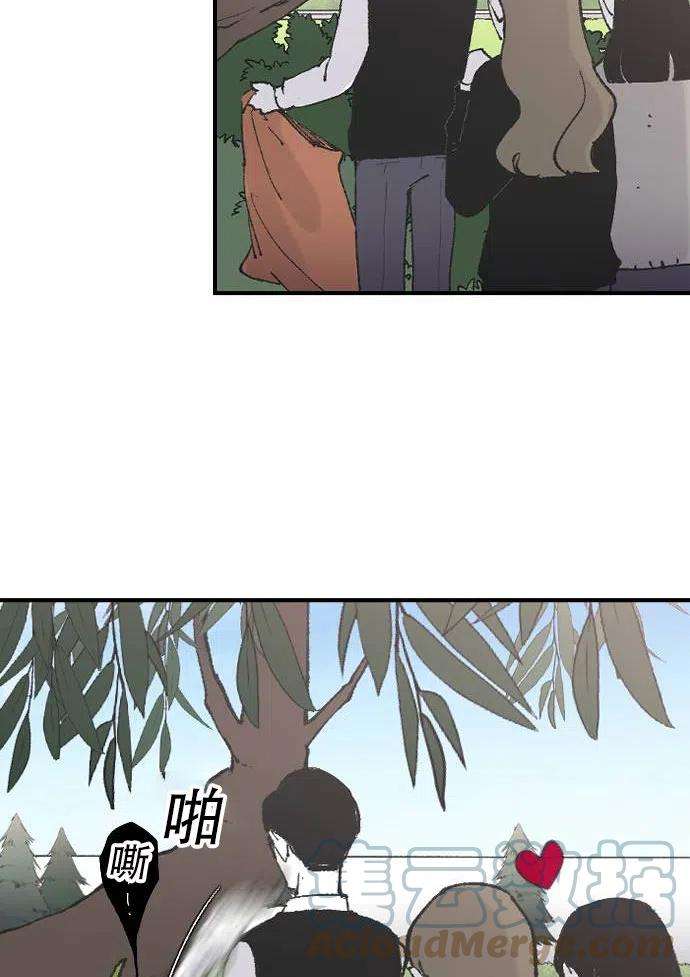 43.jpg