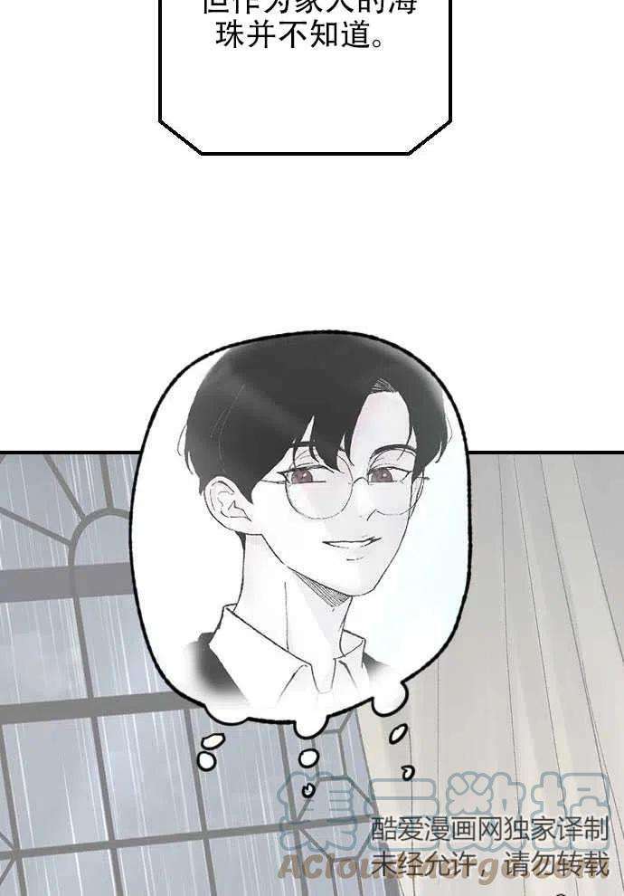 97.jpg