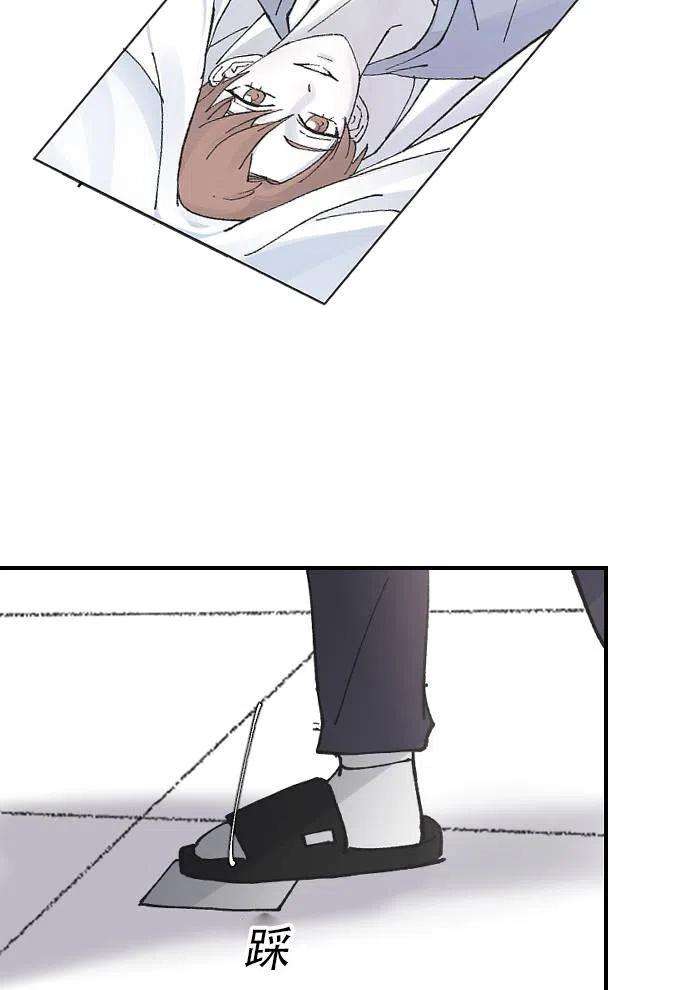 64.jpg