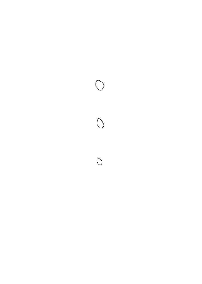 92.jpg