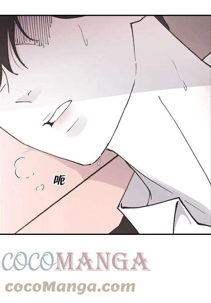 117.jpg