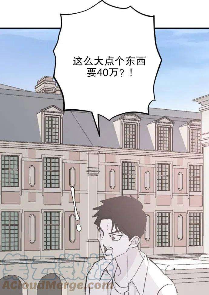 113.jpg